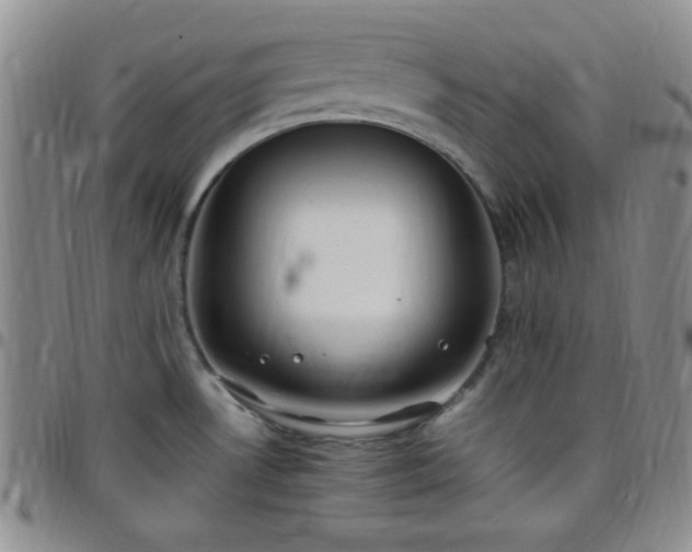 X0000099231530200805011126