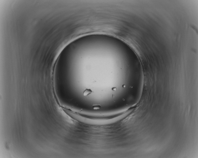 X0000099231532200805011126