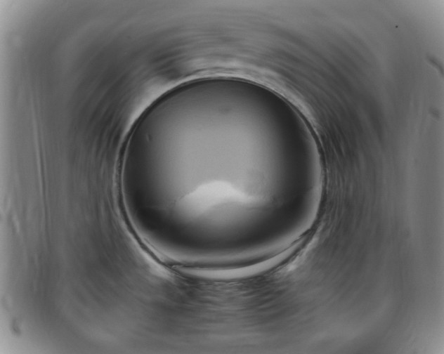 X0000099231533200805011126