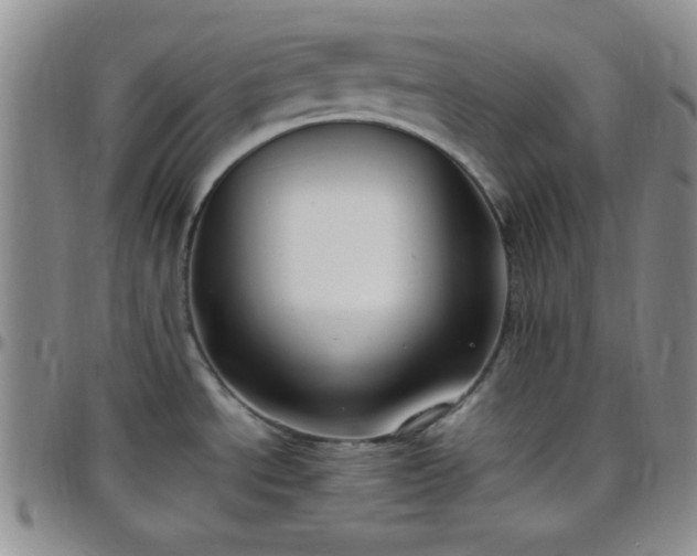 X0000099231534200805011126