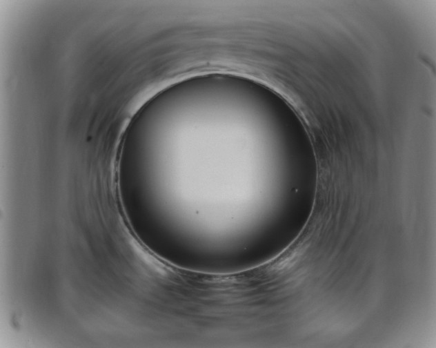 X0000099231535200805011126