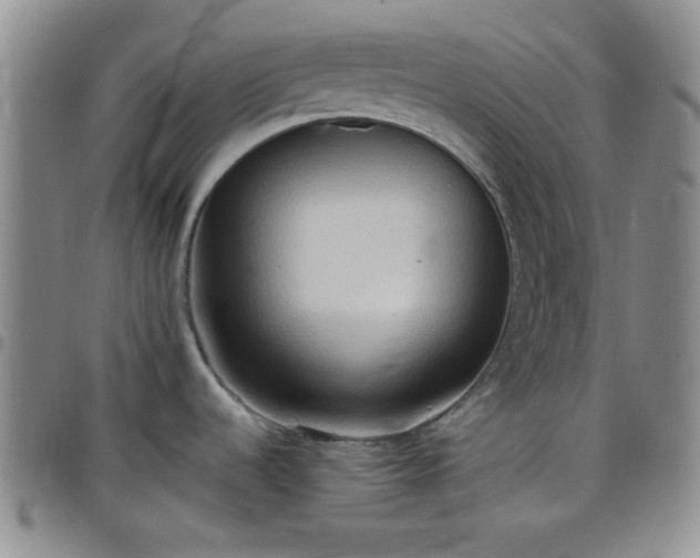 X0000099231536200805011126