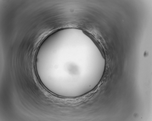 X0000099230001200805081608