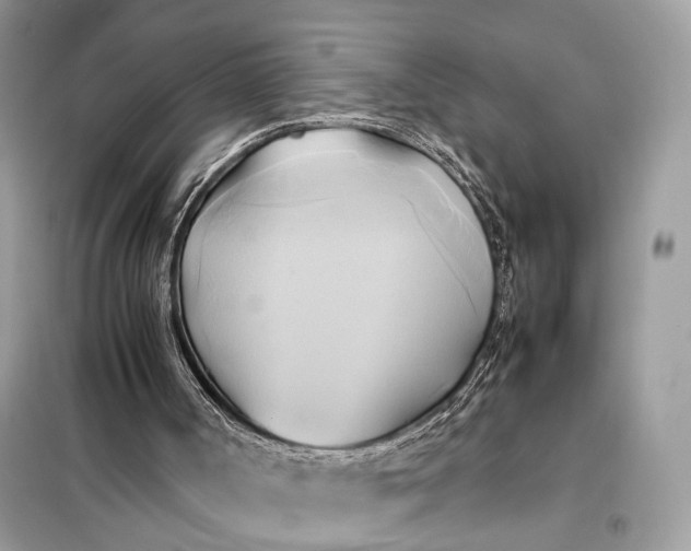 X0000099230002200805081608