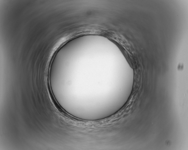 X0000099230003200805081608