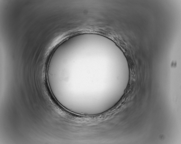 X0000099230005200805081608