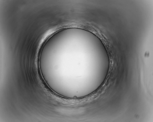 X0000099230006200805081608