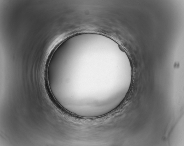 X0000099230007200805081608