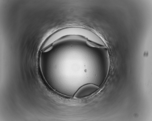 X0000099230008200805081608