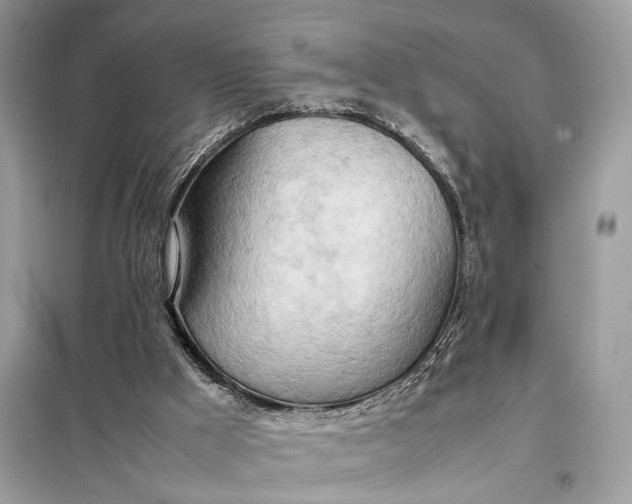 X0000099230009200805081608