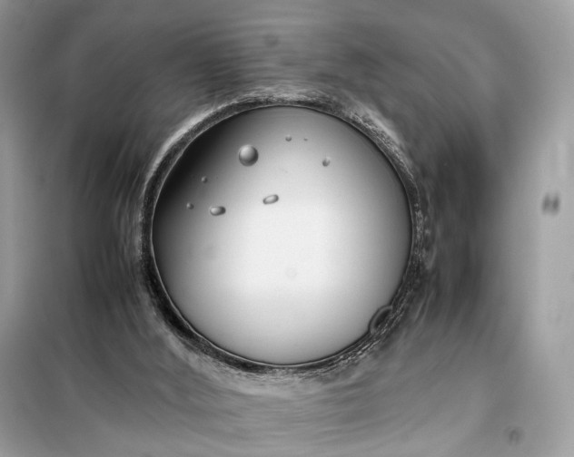 X0000099230012200805081608