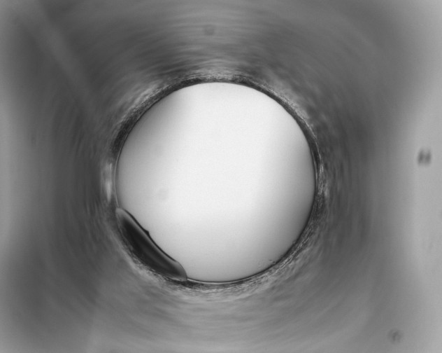 X0000099230013200805081608