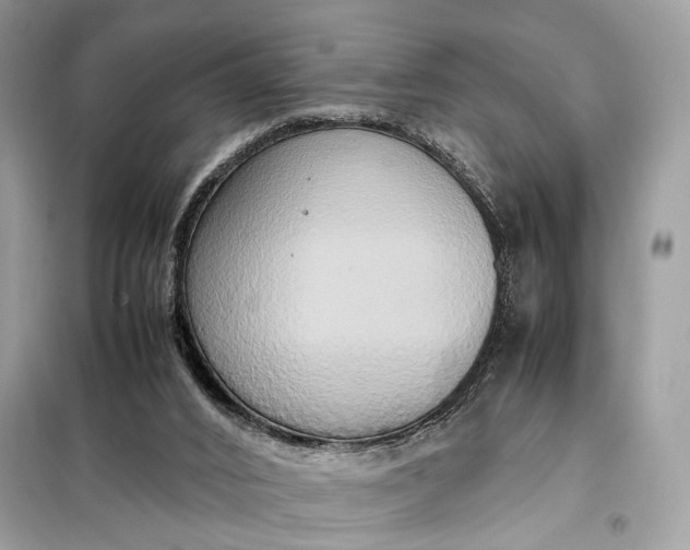 X0000099230016200805081608