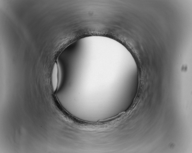 X0000099230017200805081608