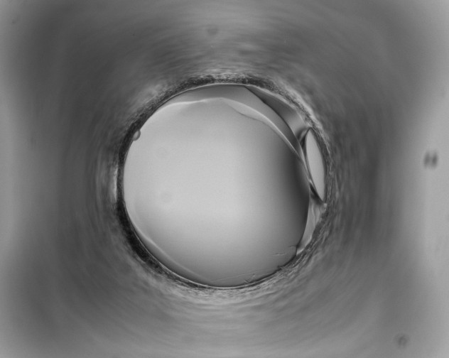 X0000099230019200805081608