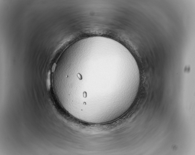 X0000099230020200805081608