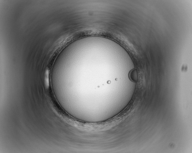 X0000099230022200805081608