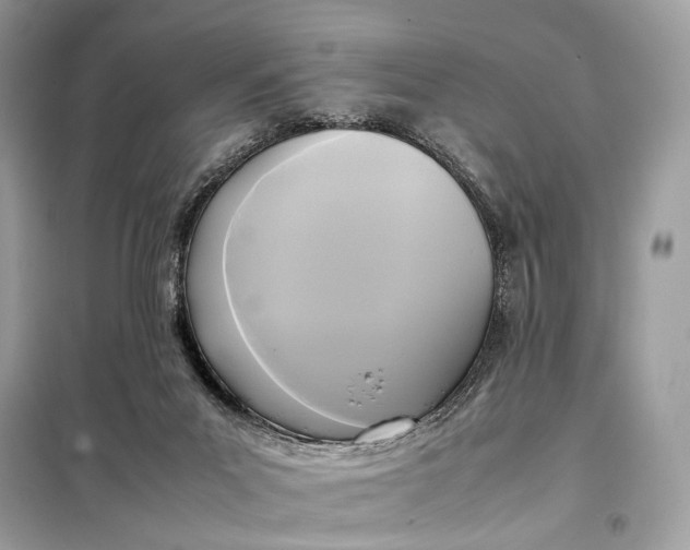 X0000099230023200805081608