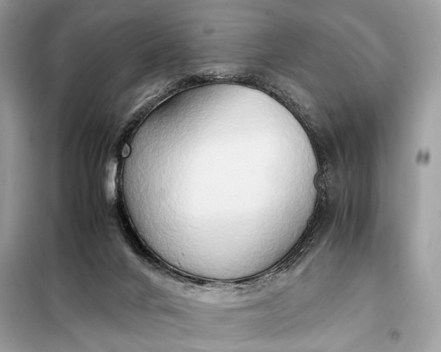 X0000099230024200805081608