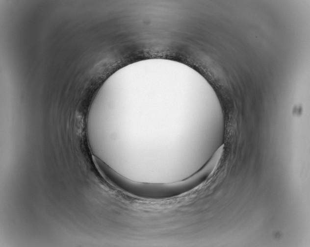 X0000099230025200805081608