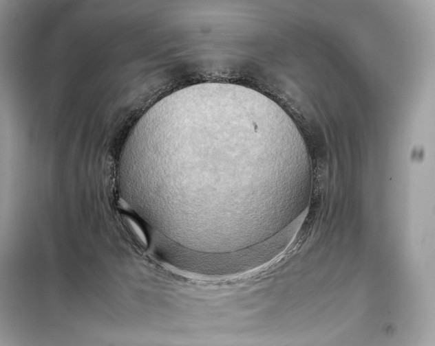 X0000099230029200805081608