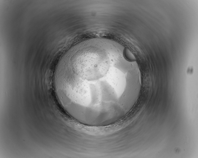 X0000099230030200805081608