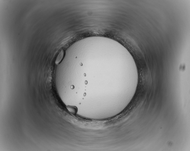 X0000099230032200805081608