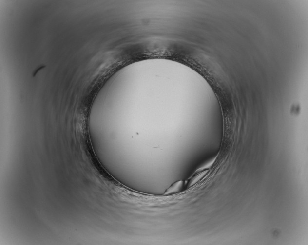 X0000099230035200805081608