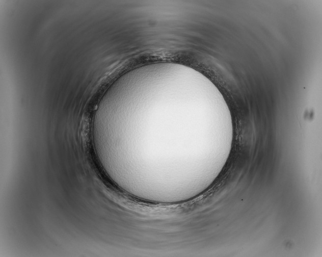 X0000099230036200805081608