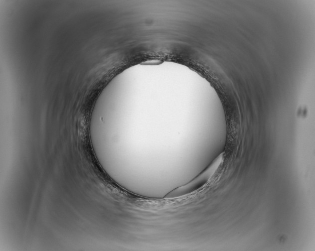 X0000099230037200805081608