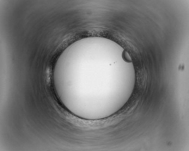 X0000099230038200805081608