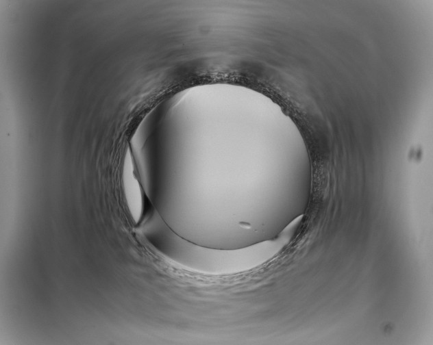 X0000099230039200805081608