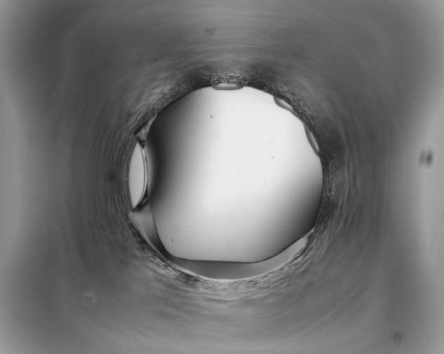 X0000099230041200805081608