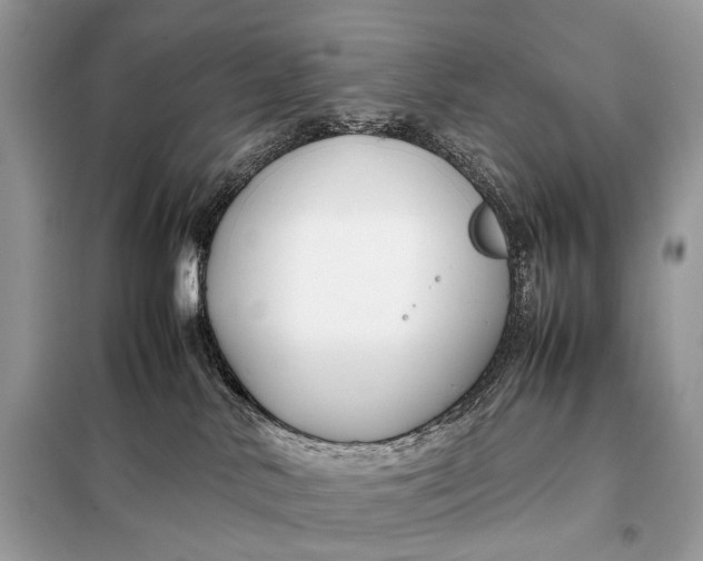 X0000099230042200805081608