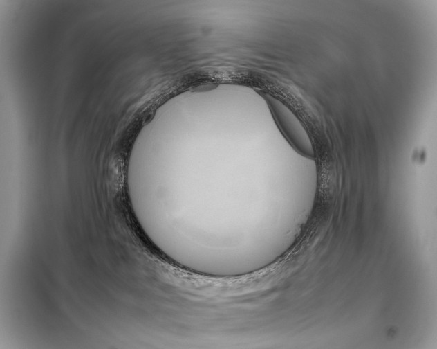 X0000099230043200805081608