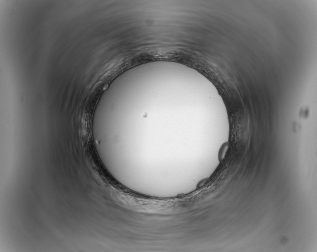 X0000099230044200805081608