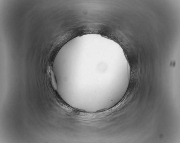 X0000099230045200805081608