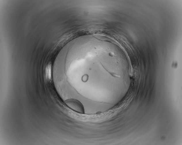 X0000099230046200805081608