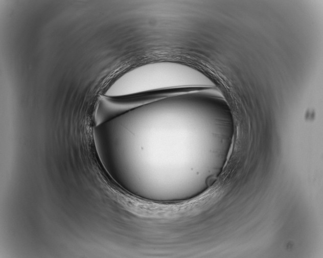 X0000099230048200805081608