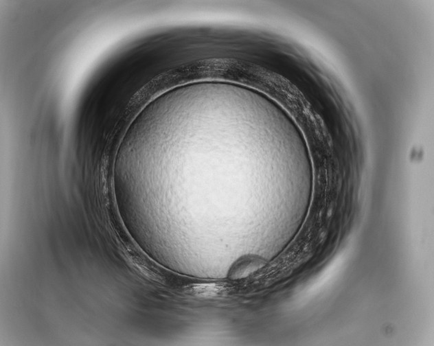 X0000099230050200805081607