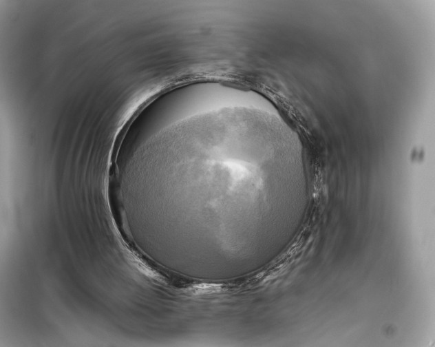 X0000099230052200805081607