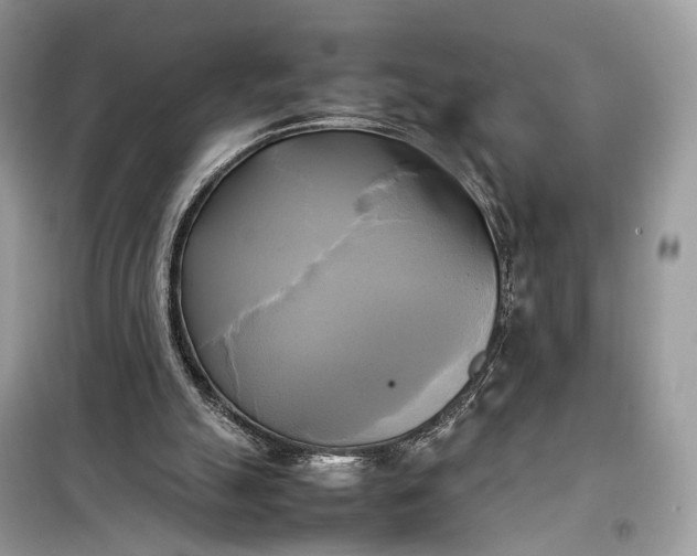 X0000099230055200805081607