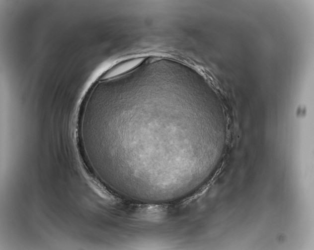 X0000099230056200805081607