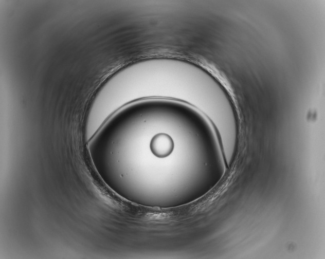 X0000099230057200805081607