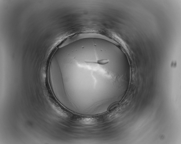 X0000099230059200805081607