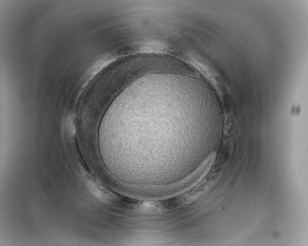 X0000099230060200805081607