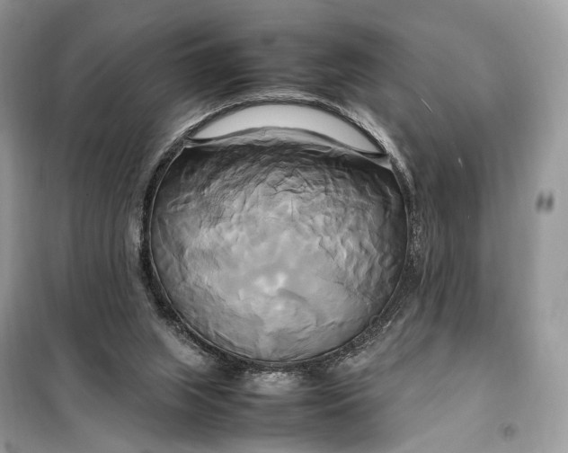 X0000099230063200805081607