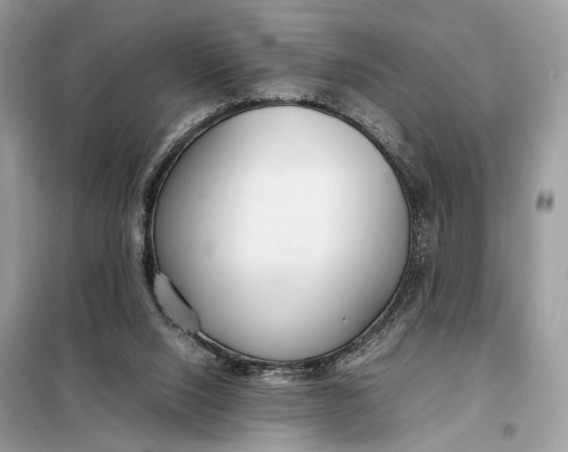 X0000099230064200805081607