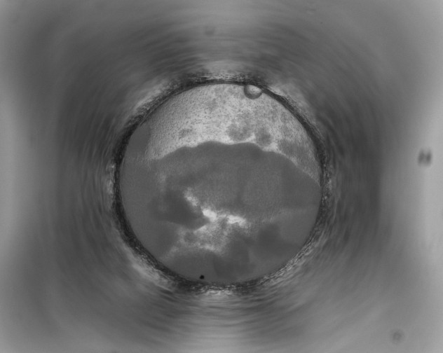 X0000099230066200805081607