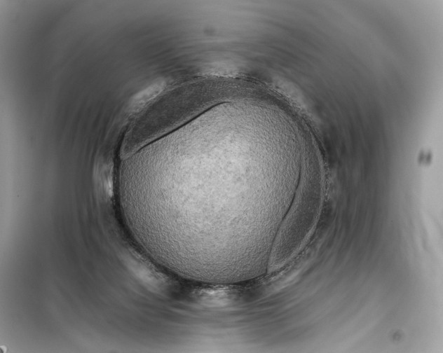 X0000099230068200805081607